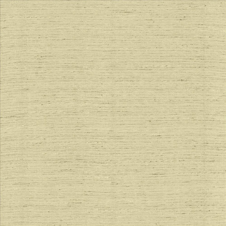 Polished Foam by Kasmir Fabric 5153 100% Polyester INDIA 51,000 Wyzenbeek Double Rubs Horizontal: 0 Inches and Vertical: 0 Inches 55 - Fabric Carolina -