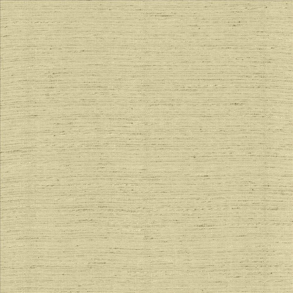 Polished Foam by Kasmir Fabric 5153 100% Polyester
 INDIA </p><p>Repeat: Horizontal: N/A and Vertical: N/A 55 - Fabric Carolina -