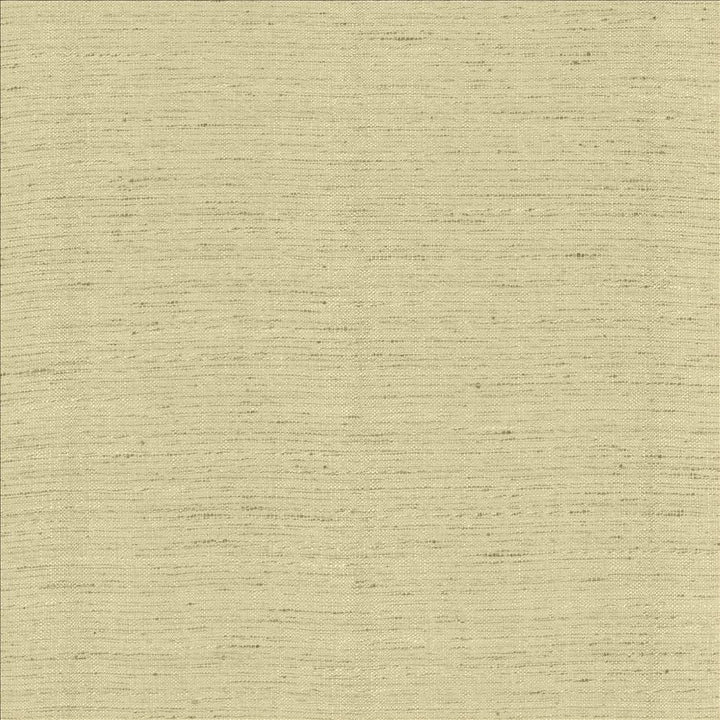 Polished Foam by Kasmir Fabric 5153 100% Polyester
 INDIA </p><p>Repeat: Horizontal: N/A and Vertical: N/A 55 - Fabric Carolina -