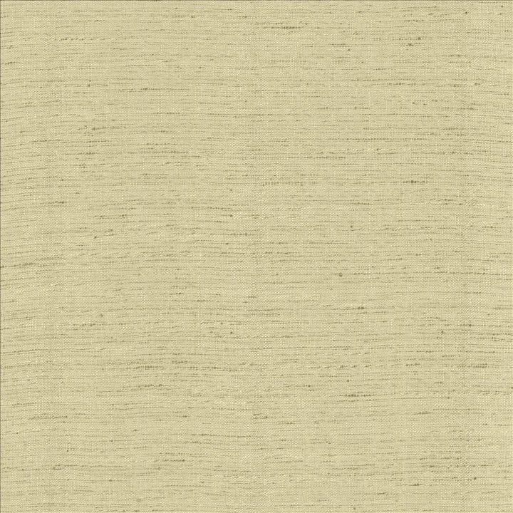 Polished Foam by Kasmir Fabric 5153 100% Polyester
 INDIA 51,000 Wyzenbeek Double Rubs Horizontal: N/A and Vertical: N/A 55 - Fabric Carolina -