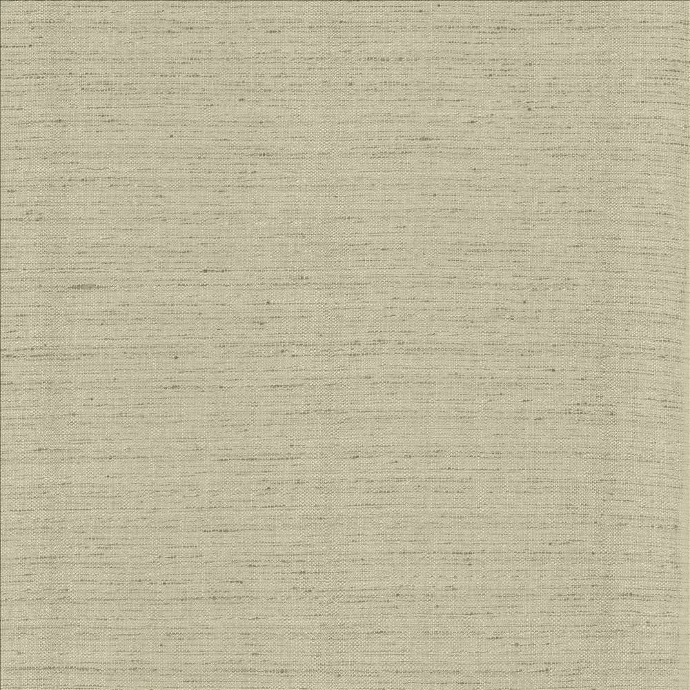 Polished Fog by Kasmir Fabric 5153 100% Polyester
 INDIA 51,000 Wyzenbeek Double Rubs Horizontal: N/A and Vertical: N/A 55 - Fabric Carolina -