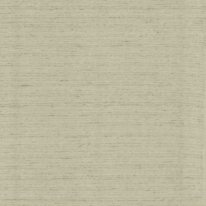Polished Fog by Kasmir Fabric 5153 100% Polyester
 INDIA </p><p>Repeat: Horizontal: N/A and Vertical: N/A 55 - Fabric Carolina -