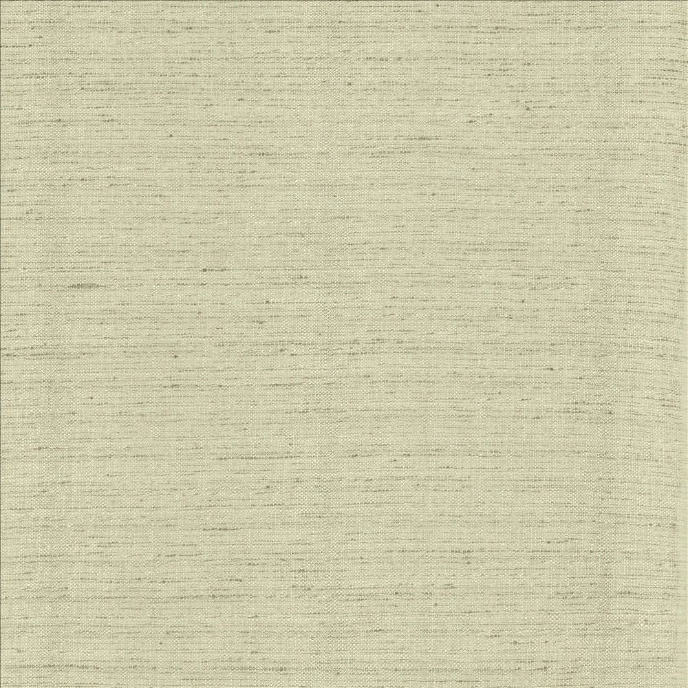 Polished Fog by Kasmir Fabric 5153 100% Polyester INDIA 51,000 Wyzenbeek Double Rubs Horizontal: 0 Inches and Vertical: 0 Inches 55 - Fabric Carolina -