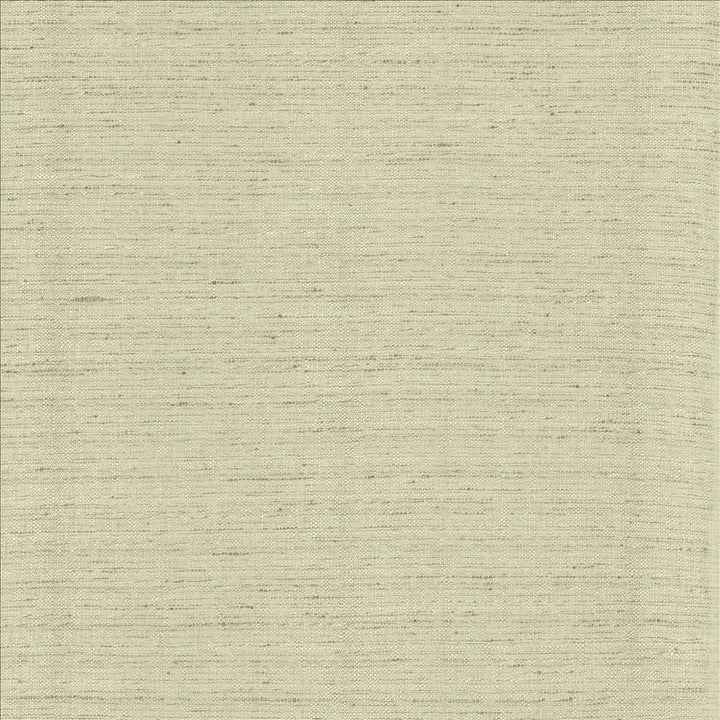 Polished Fog by Kasmir Fabric 5153 100% Polyester INDIA 51,000 Wyzenbeek Double Rubs Horizontal: 0 Inches and Vertical: 0 Inches 55 - Fabric Carolina -