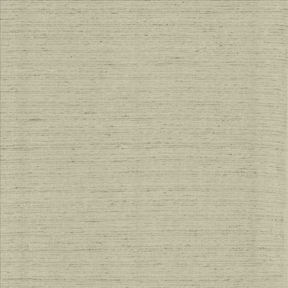 Polished Fog by Kasmir Fabric 5153 100% Polyester
 INDIA </p><p>Repeat: Horizontal: N/A and Vertical: N/A 55 - Fabric Carolina -