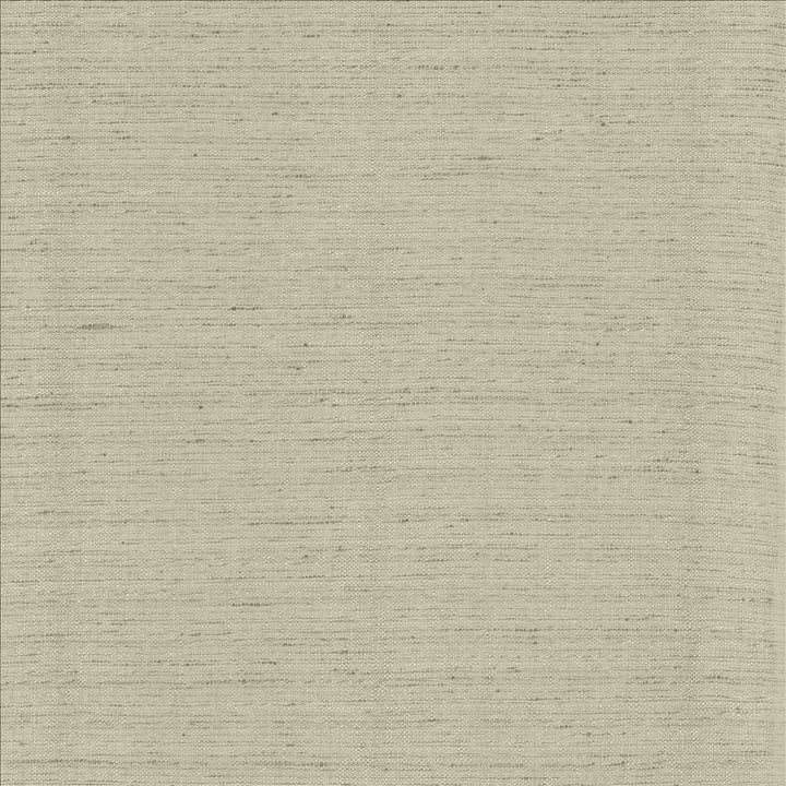 Polished Fog by Kasmir Fabric 5153 100% Polyester
 INDIA </p><p>Repeat: Horizontal: N/A and Vertical: N/A 55 - Fabric Carolina -