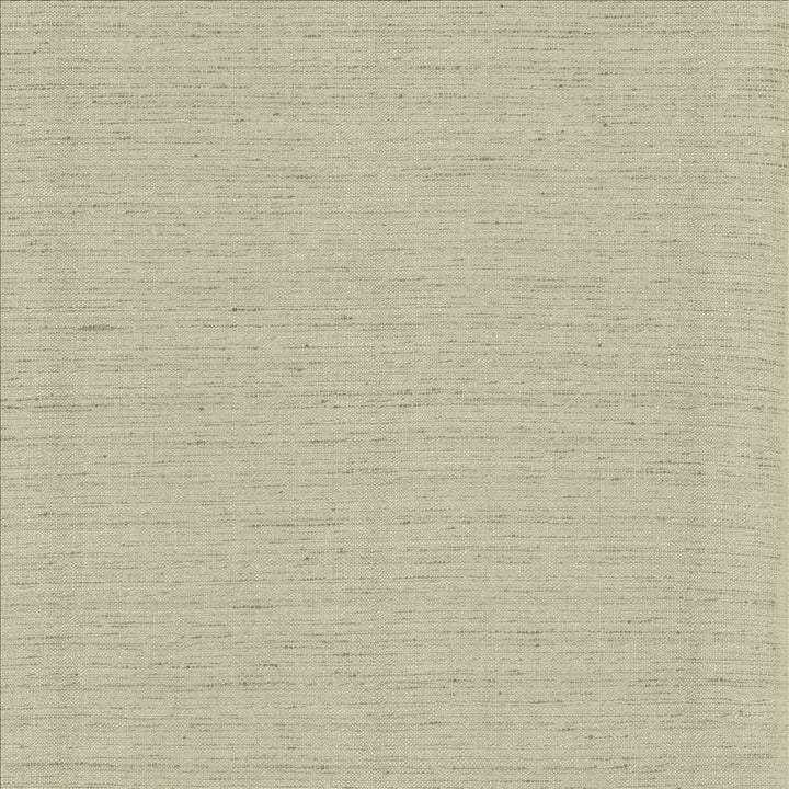 Polished Fog by Kasmir Fabric 5153 100% Polyester
 INDIA 51,000 Wyzenbeek Double Rubs </p><p>Repeat: Horizontal: N/A and Vertical: N/A 55 - Fabric Carolina -