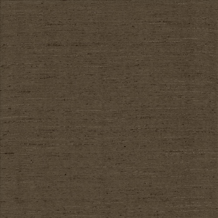 Polished Mercury by Kasmir Fabric 5153 100% Polyester
 INDIA 51,000 Wyzenbeek Double Rubs Horizontal: N/A and Vertical: N/A 55 - Fabric Carolina -