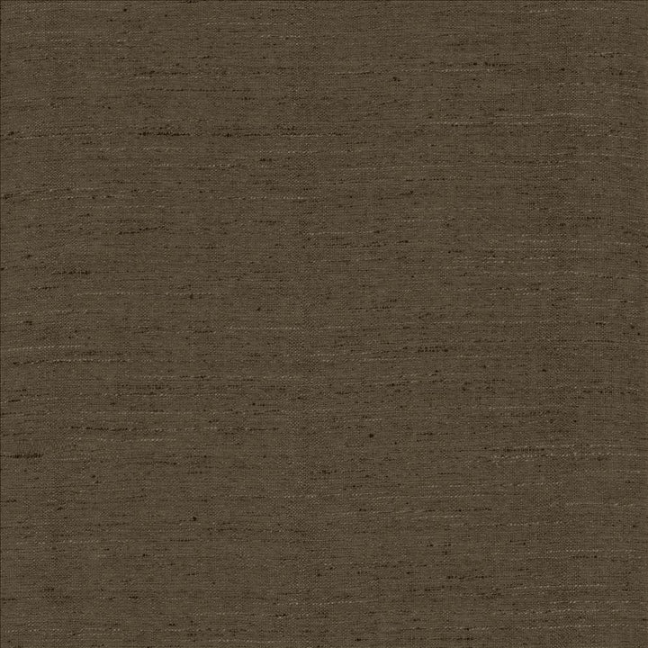 Polished Mercury by Kasmir Fabric 5153 100% Polyester
 INDIA </p><p>Repeat: Horizontal: N/A and Vertical: N/A 55 - Fabric Carolina -