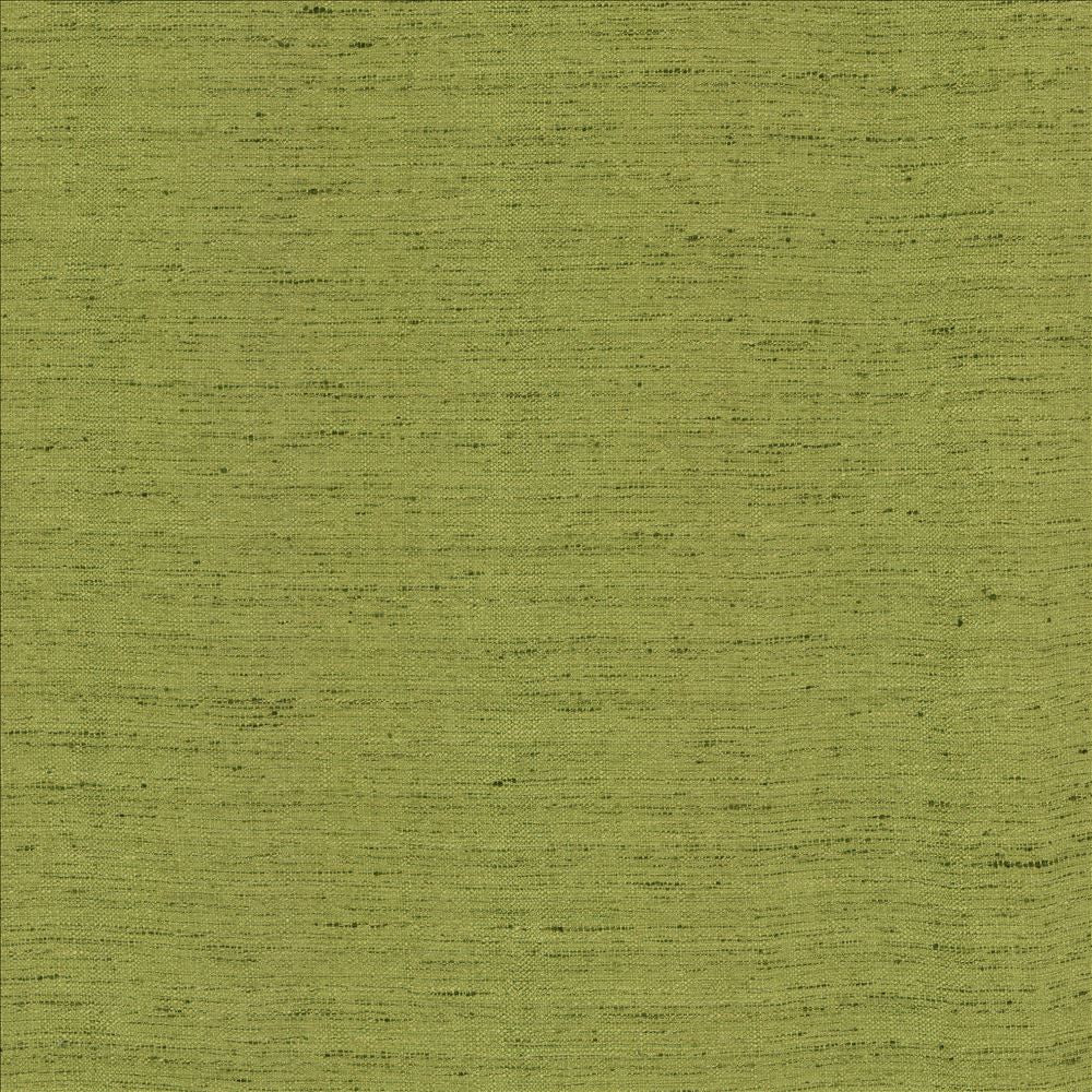 Polished Moss by Kasmir Fabric 5154 100% Polyester INDIA 51,000 Wyzenbeek Double Rubs Horizontal: 0 Inches and Vertical: 0 Inches 55 - Fabric Carolina -