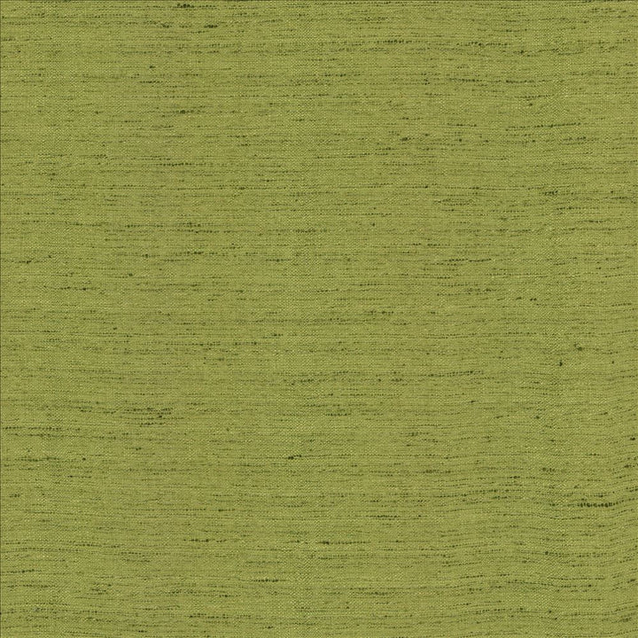 Polished Moss by Kasmir Fabric 5154 100% Polyester INDIA 51,000 Wyzenbeek Double Rubs Horizontal: 0 Inches and Vertical: 0 Inches 55 - Fabric Carolina -
