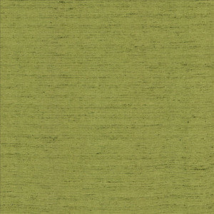 Polished Moss by Kasmir Fabric