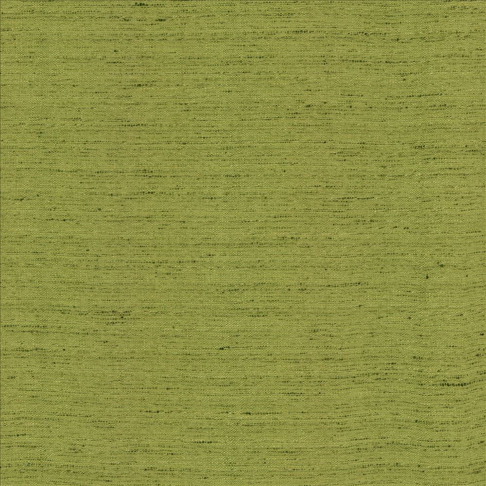 Polished Moss by Kasmir Fabric 5154 100% Polyester
 INDIA </p><p>Repeat: Horizontal: N/A and Vertical: N/A 55 - Fabric Carolina -