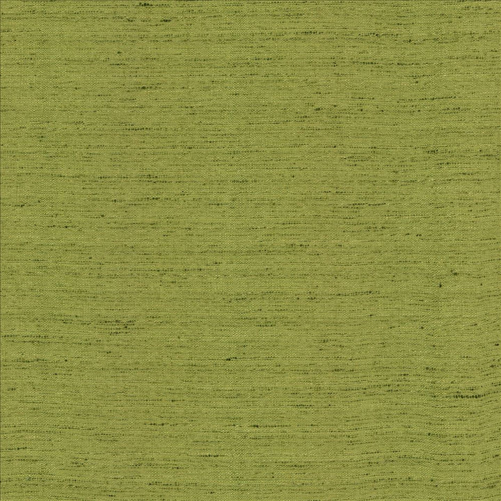 Polished Moss by Kasmir Fabric 5154 100% Polyester
 INDIA </p><p>Repeat: Horizontal: N/A and Vertical: N/A 55 - Fabric Carolina -