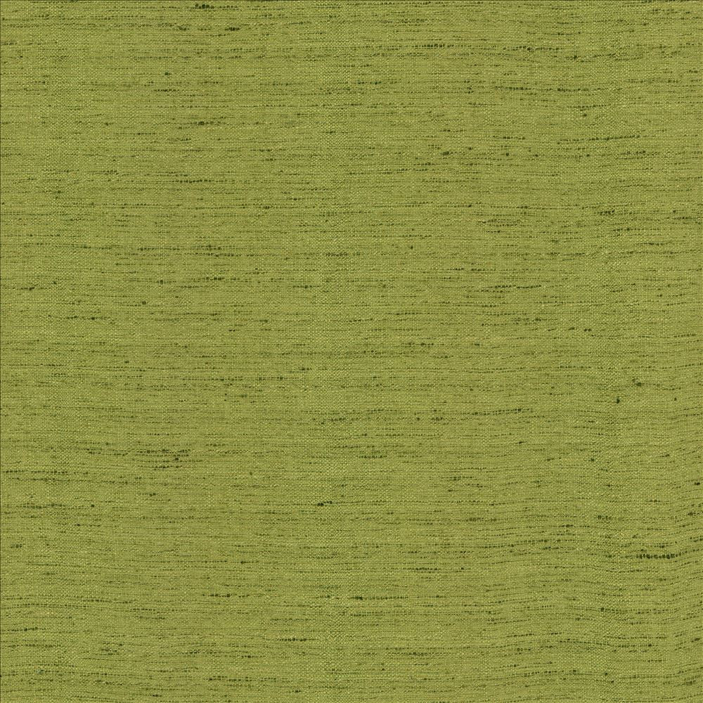 Polished Moss by Kasmir Fabric 5154 100% Polyester
 INDIA 51,000 Wyzenbeek Double Rubs Horizontal: N/A and Vertical: N/A 55 - Fabric Carolina -