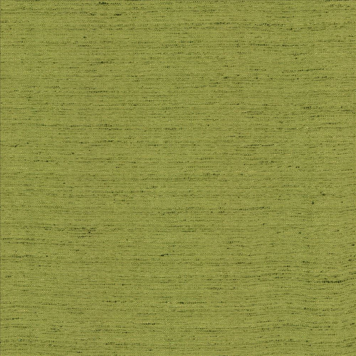 Polished Moss  by Kasmir Fabric See sample 100% Polyester
 INDIA 51,000 Wyzenbeek Double Rubs </p><p>Repeat: Horizontal: N/A and Vertical: N/A 55  - Fabric Carolina -