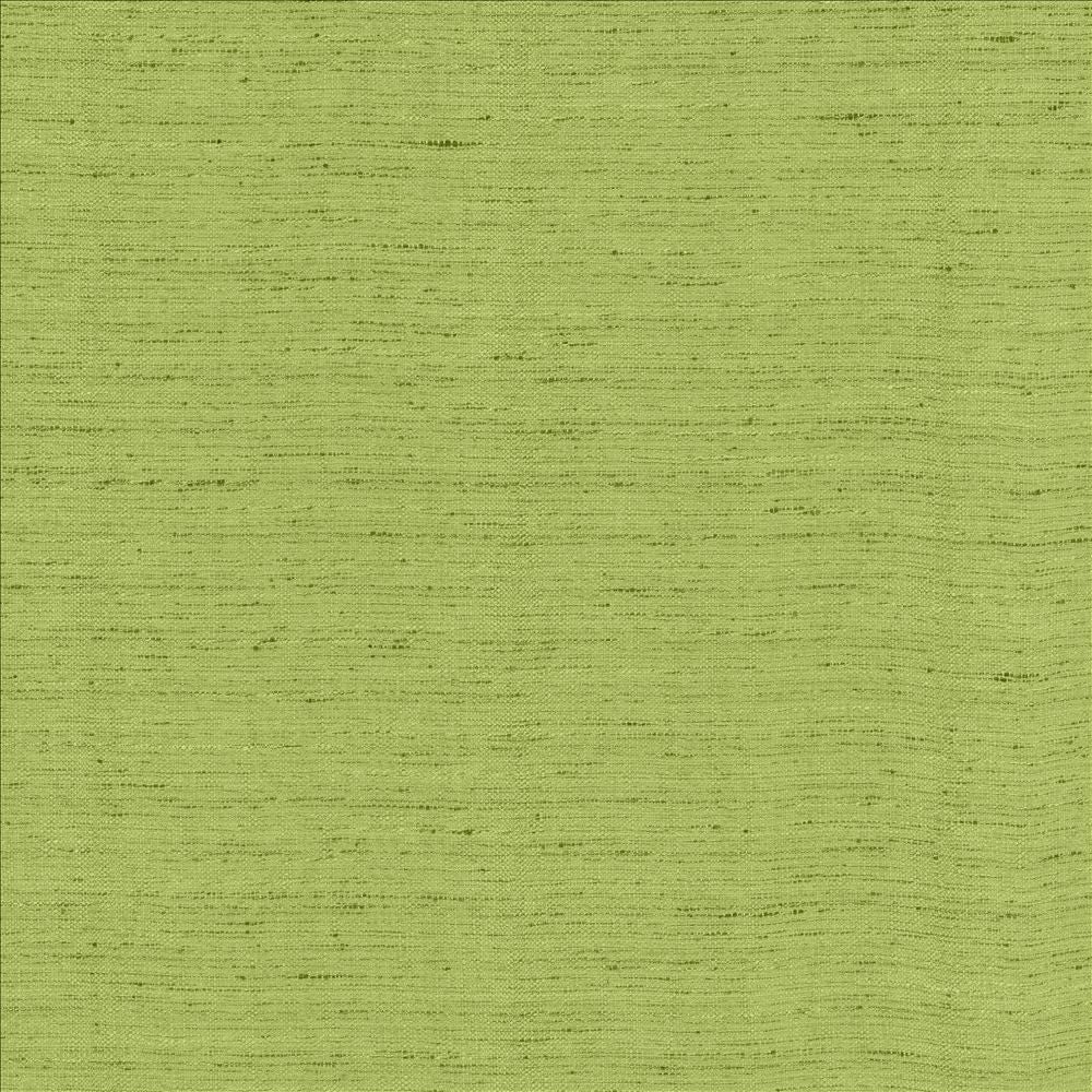 Polished Parrot  by Kasmir Fabric See sample 100% Polyester
 INDIA 51,000 Wyzenbeek Double Rubs </p><p>Repeat: Horizontal: N/A and Vertical: N/A 55  - Fabric Carolina -
