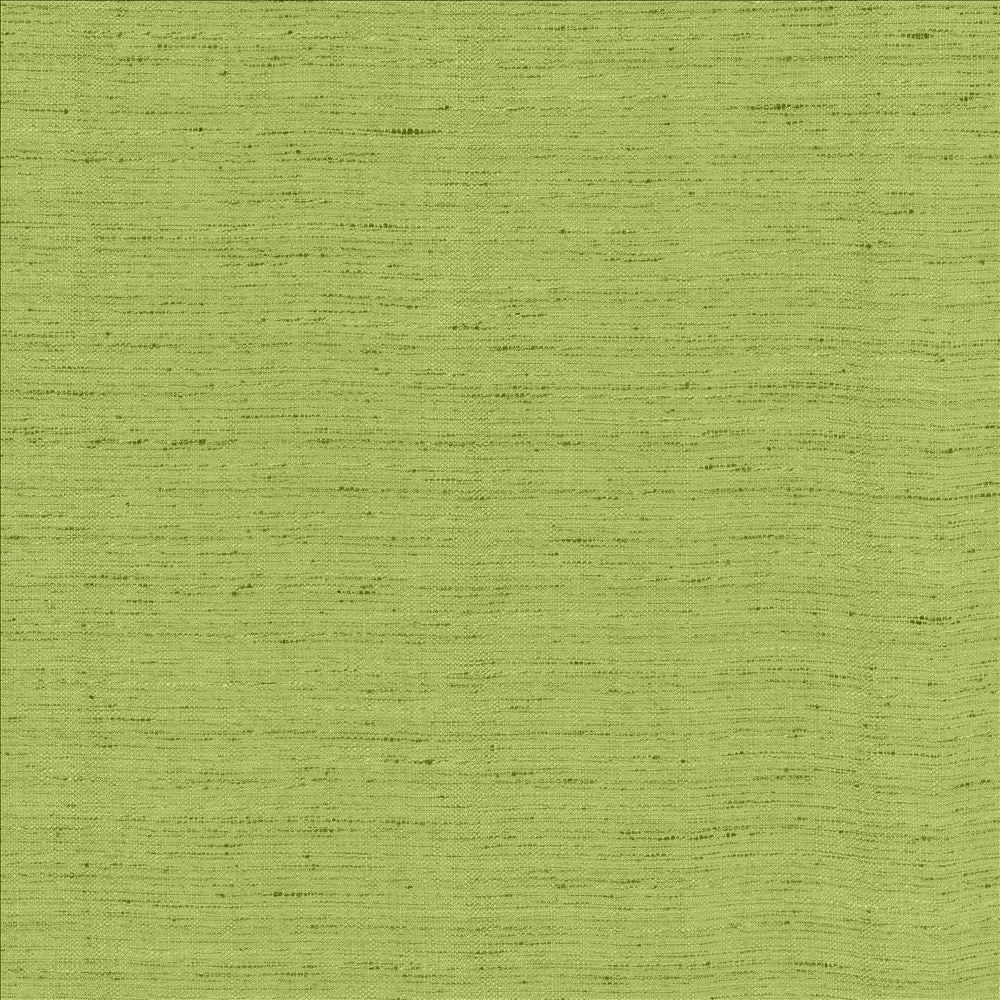 Polished Parrot by Kasmir Fabric 5154 100% Polyester
 INDIA </p><p>Repeat: Horizontal: N/A and Vertical: N/A 55 - Fabric Carolina -