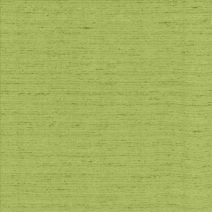 Polished Parrot by Kasmir Fabric 5154 100% Polyester
 INDIA </p><p>Repeat: Horizontal: N/A and Vertical: N/A 55 - Fabric Carolina -