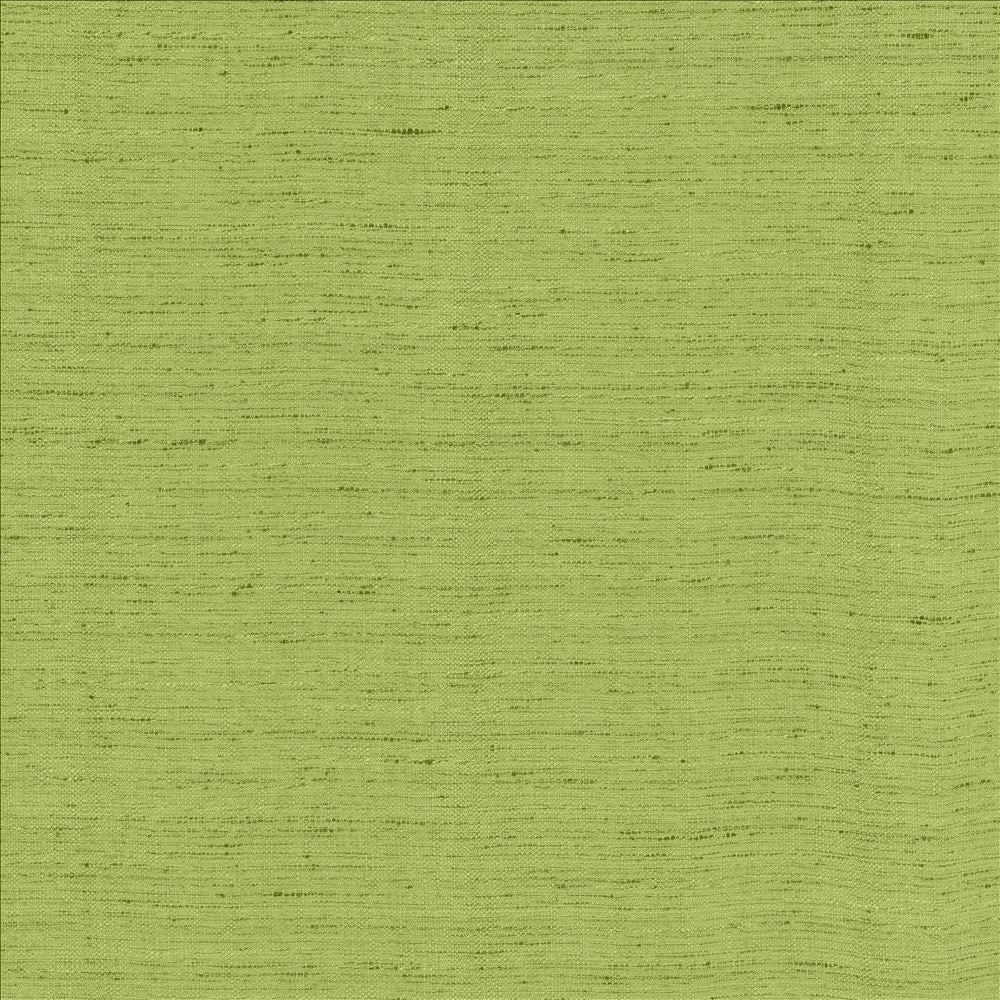 Polished Parrot by Kasmir Fabric 5154 100% Polyester INDIA 51,000 Wyzenbeek Double Rubs Horizontal: 0 Inches and Vertical: 0 Inches 55 - Fabric Carolina -