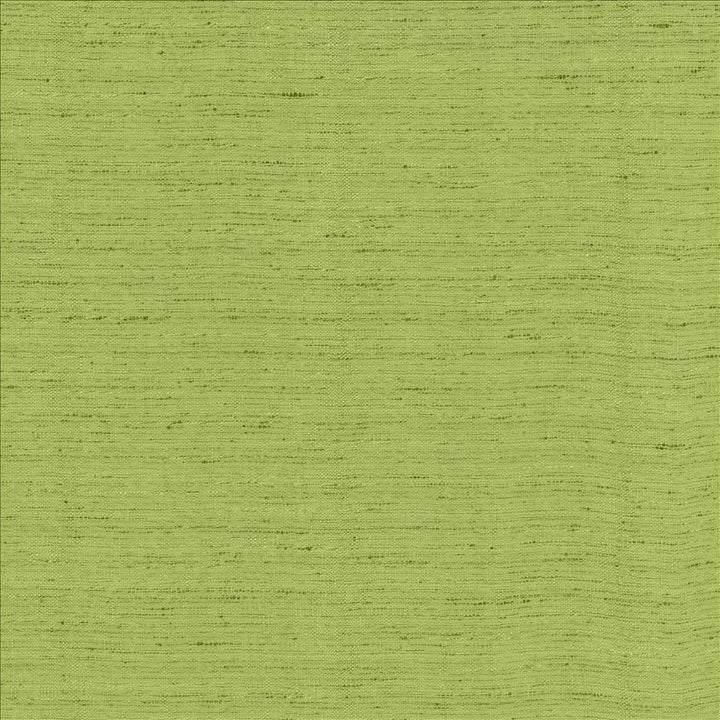 Polished Parrot by Kasmir Fabric 5154 100% Polyester INDIA 51,000 Wyzenbeek Double Rubs Horizontal: 0 Inches and Vertical: 0 Inches 55 - Fabric Carolina -