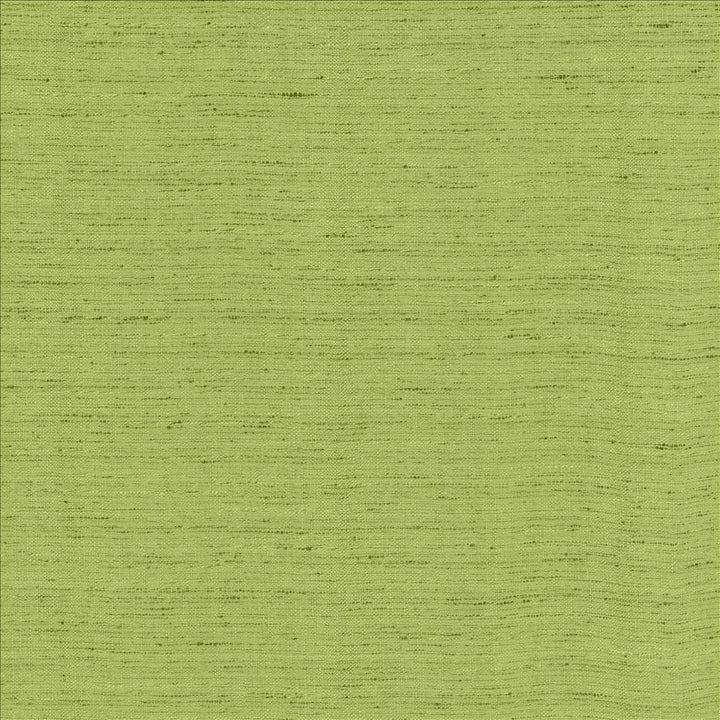 Polished Parrot by Kasmir Fabric 5154 100% Polyester
 INDIA 51,000 Wyzenbeek Double Rubs Horizontal: N/A and Vertical: N/A 55 - Fabric Carolina -