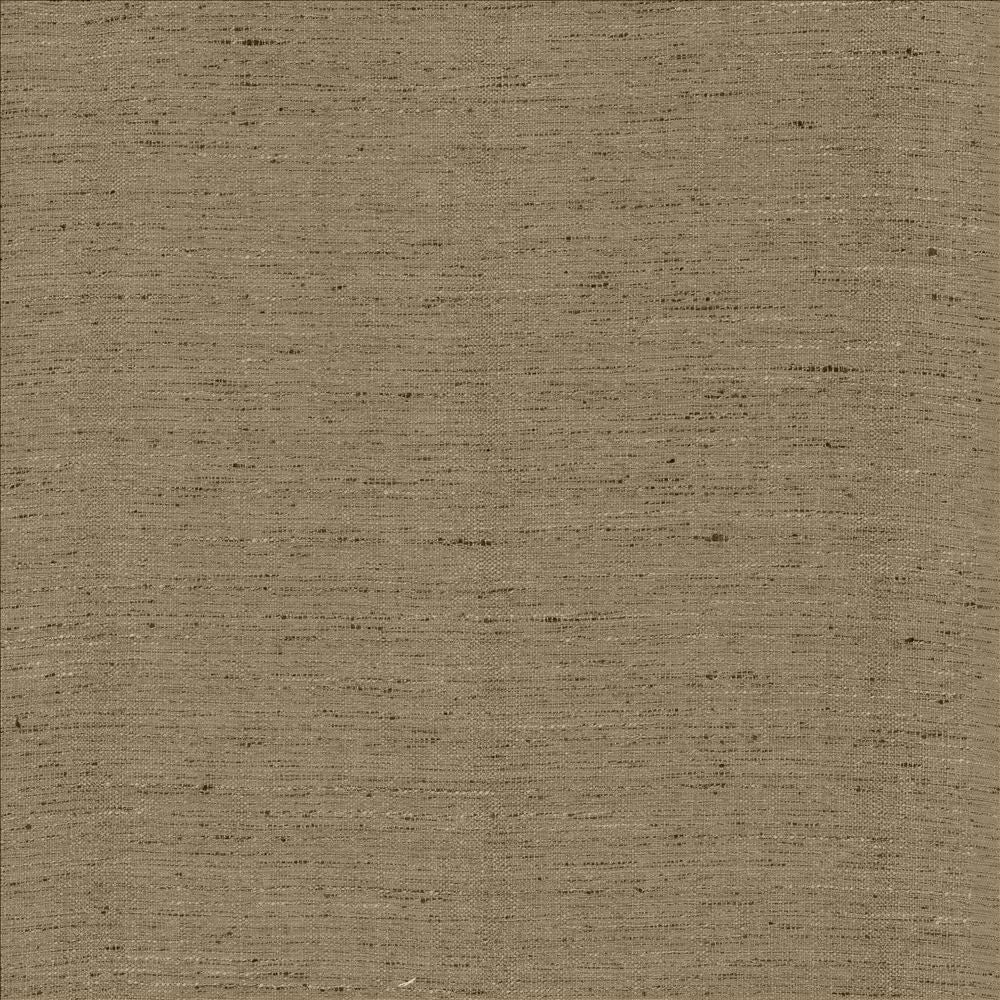 Polished Silver by Kasmir Fabric 5153 100% Polyester INDIA 51,000 Wyzenbeek Double Rubs Horizontal: 0 Inches and Vertical: 0 Inches 55 - Fabric Carolina -
