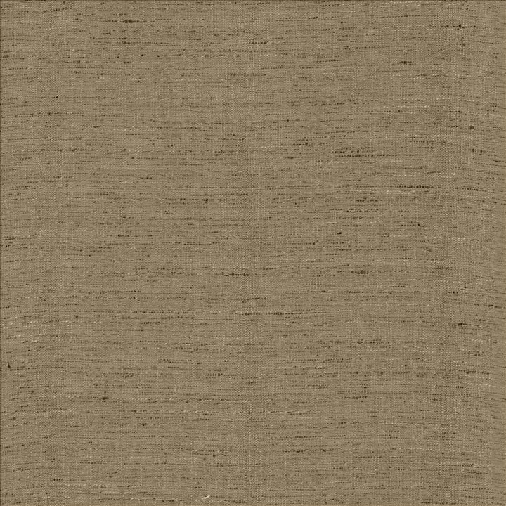 Polished Silver by Kasmir Fabric 5153 100% Polyester INDIA 51,000 Wyzenbeek Double Rubs Horizontal: 0 Inches and Vertical: 0 Inches 55 - Fabric Carolina -
