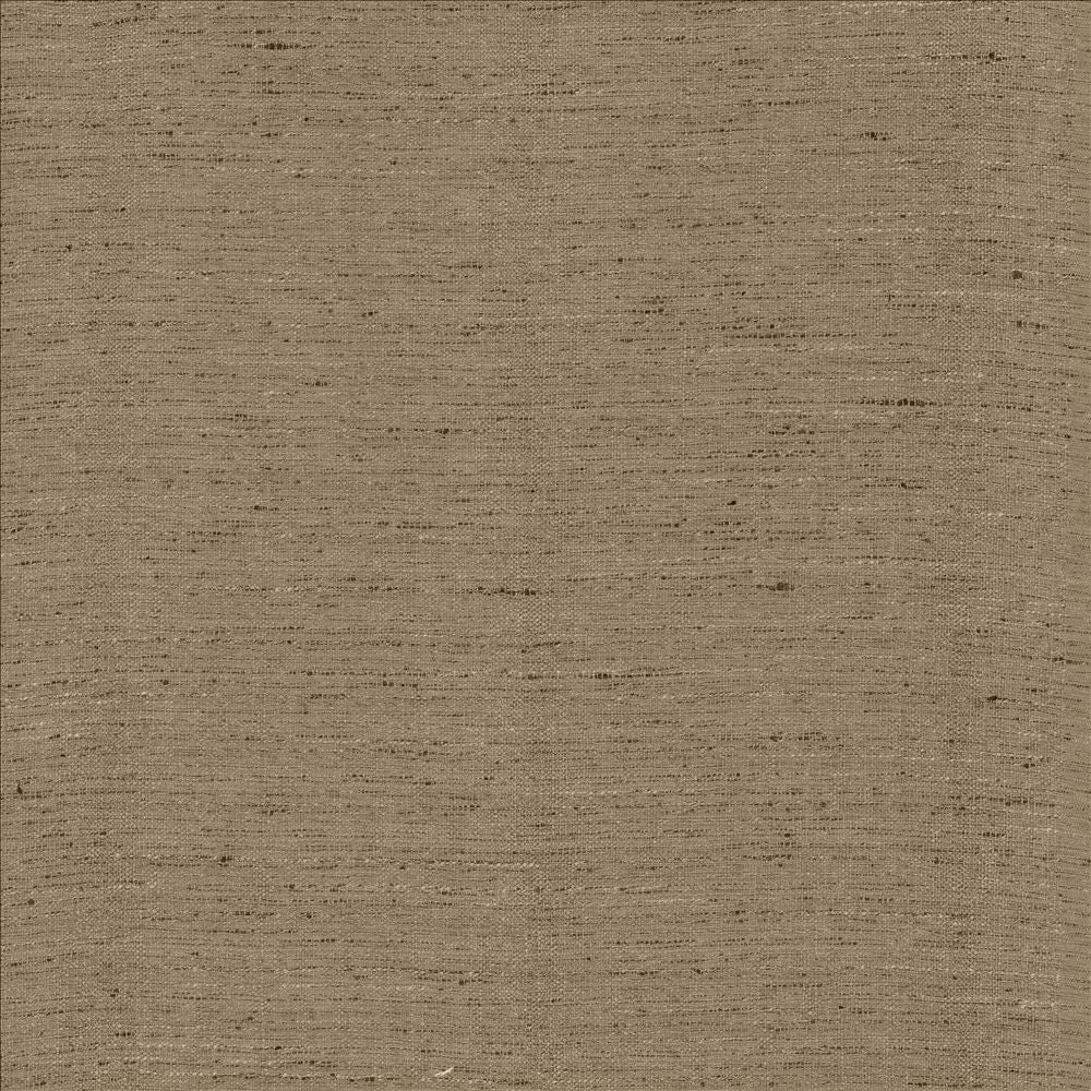 Polished Silver by Kasmir Fabric 5153 100% Polyester
 INDIA 51,000 Wyzenbeek Double Rubs Horizontal: N/A and Vertical: N/A 55 - Fabric Carolina -