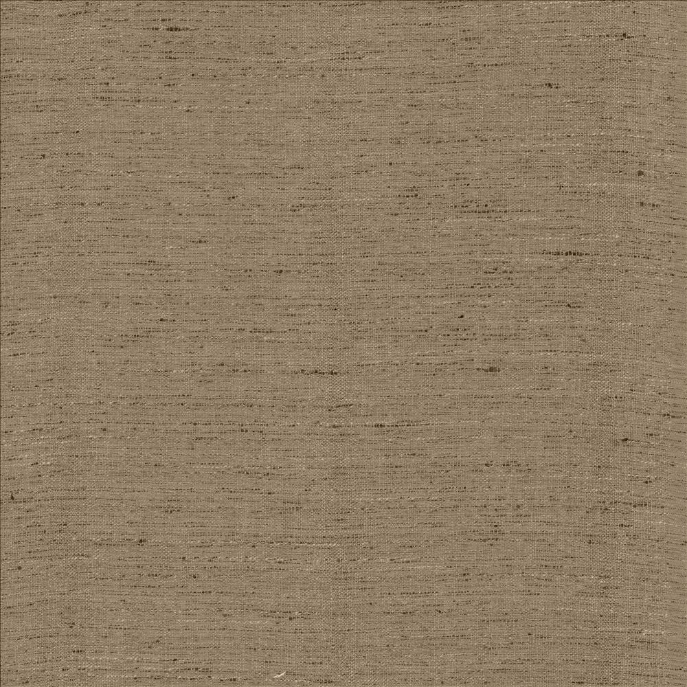 Polished Silver by Kasmir Fabric 5153 100% Polyester
 INDIA </p><p>Repeat: Horizontal: N/A and Vertical: N/A 55 - Fabric Carolina -