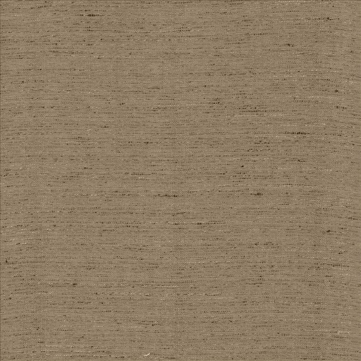 Polished Silver by Kasmir Fabric 5153 100% Polyester
 INDIA </p><p>Repeat: Horizontal: N/A and Vertical: N/A 55 - Fabric Carolina -