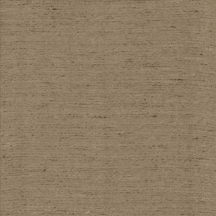 Polished Silver  by Kasmir Fabric See sample 100% Polyester
 INDIA 51,000 Wyzenbeek Double Rubs </p><p>Repeat: Horizontal: N/A and Vertical: N/A 55  - Fabric Carolina -