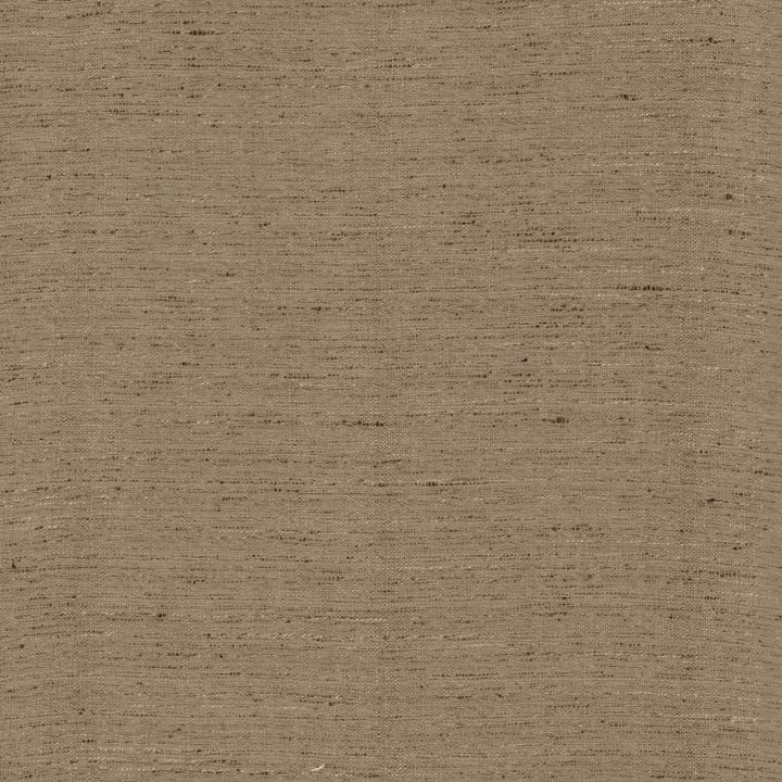 Polished Silver by Kasmir Fabric 5153 100% Polyester
 INDIA </p><p>Repeat: Horizontal: N/A and Vertical: N/A 55 - Fabric Carolina -
