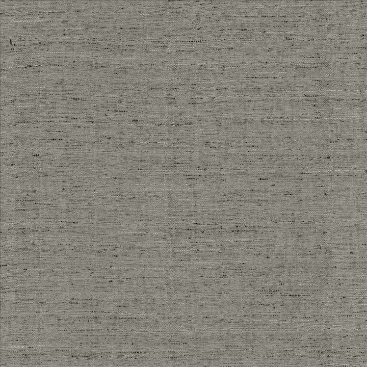 Polished Smoke by Kasmir Fabric 5153 100% Polyester
 INDIA </p><p>Repeat: Horizontal: N/A and Vertical: N/A 55 - Fabric Carolina -