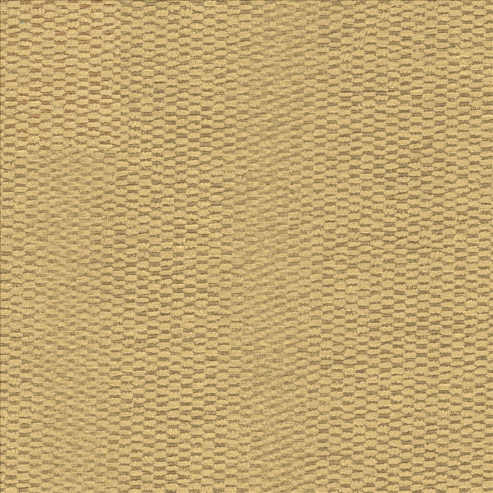 Ponte Butter by Kasmir Fabric 5093 100% Polyester
 CHINA 40,000 Martindale Cycles </p><p>Repeat: Horizontal: N/A and Vertical: N/A 55 - Fabric Carolina -