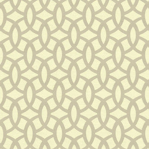 Possibilities Fog by Kasmir Fabric