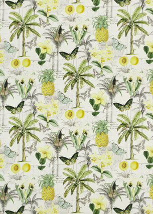 Orinoco Citrus by Baker Lifestyle Fabric