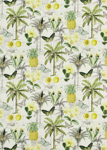 Orinoco Citrus by Baker Lifestyle Fabric