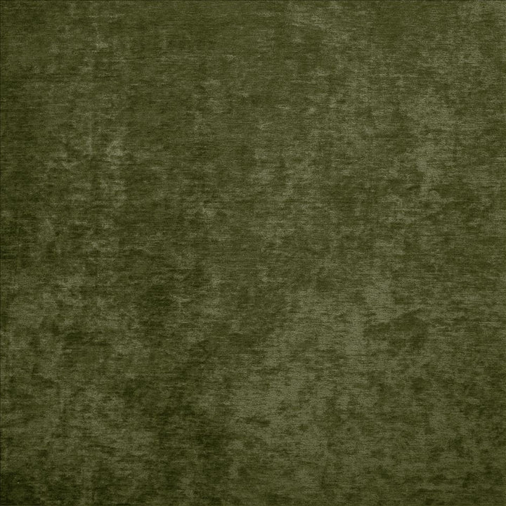Praiseworthy Moss by Kasmir Fabric 5171 100% Polyester
 CHINA </p><p>Repeat: Horizontal: N/A and Vertical: N/A 54 - Fabric Carolina -