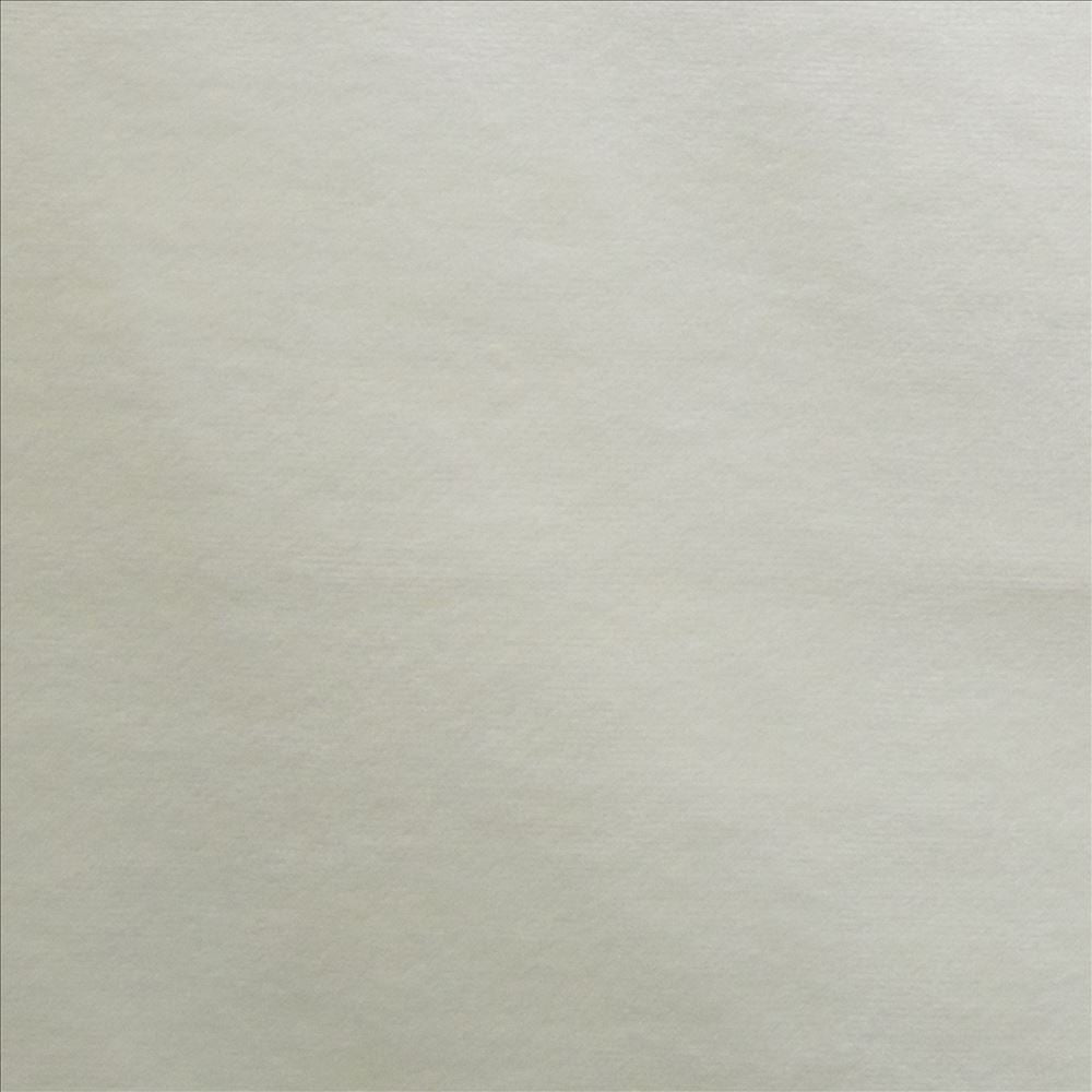 Prelude Bone  by Kasmir Fabric 5189 100% Polyester  TAIWAN  </p><p>Repeat: Horizontal: N/A and Vertical: N/A 58  - Fabric Carolina -
