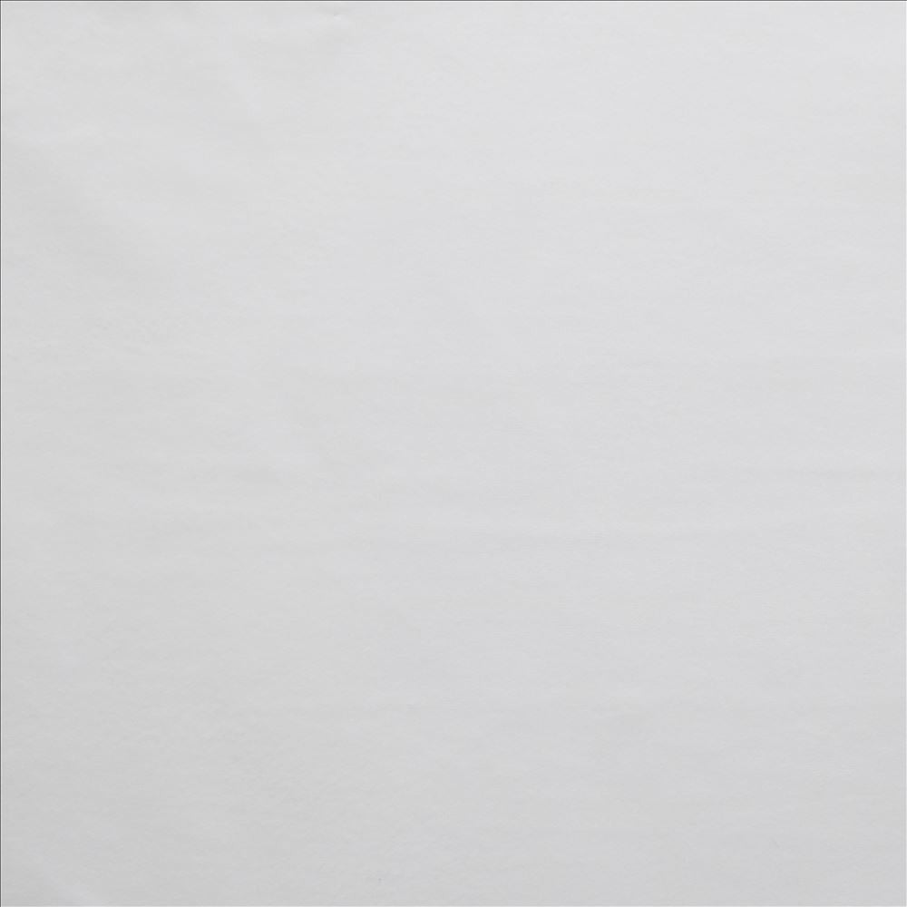 Prelude Coconut  by Kasmir Fabric 5189 100% Polyester  TAIWAN  </p><p>Repeat: Horizontal: N/A and Vertical: N/A 58  - Fabric Carolina -