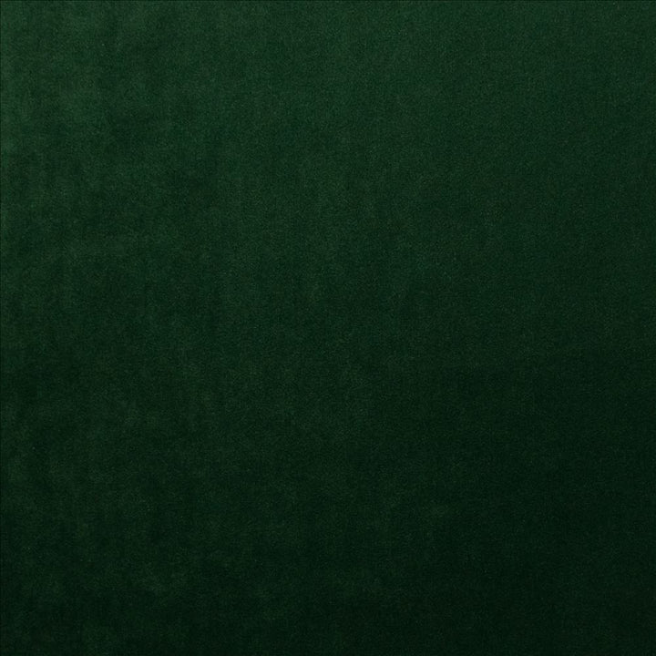 Prelude Emerald  by Kasmir Fabric 5189 100% Polyester  TAIWAN  </p><p>Repeat: Horizontal: N/A and Vertical: N/A 58  - Fabric Carolina -