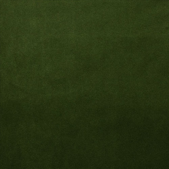 Prelude Grass  by Kasmir Fabric 5189 100% Polyester  TAIWAN  </p><p>Repeat: Horizontal: N/A and Vertical: N/A 58  - Fabric Carolina -