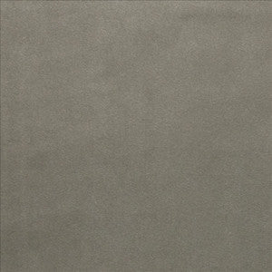 Prelude Mushroom  by Kasmir Fabric