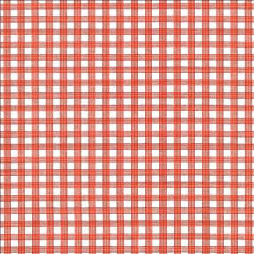 Prima Check Orange by Kasmir Fabric 5070 100% Cotton PORTUGAL 33,000 Wyzenbeek Double Rubs H: 4/8 inches, V: 4/8 inches 54 - Fabric Carolina - Kasmir