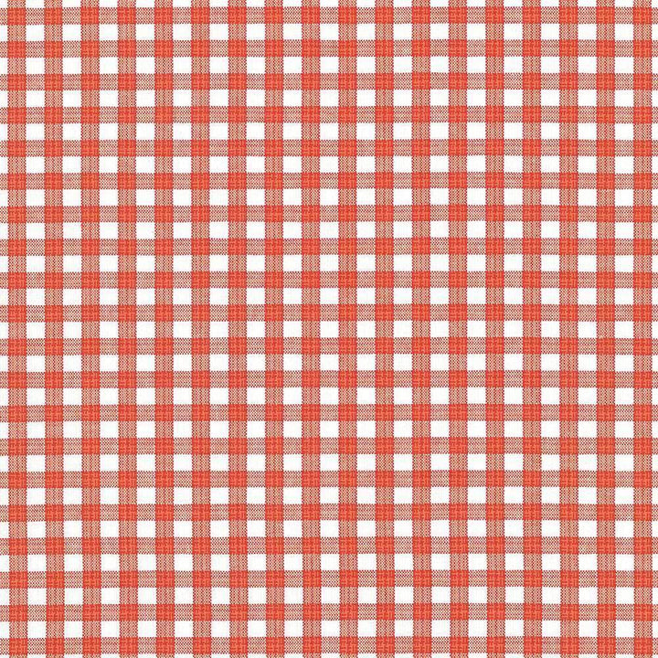 Prima Check Orange by Kasmir Fabric 5070 PORTUGAL 33,000 Wyzenbeek Double Rubs H: 4/8 inches, V:4/8 inches 54 - Fabric Carolina - Kasmir