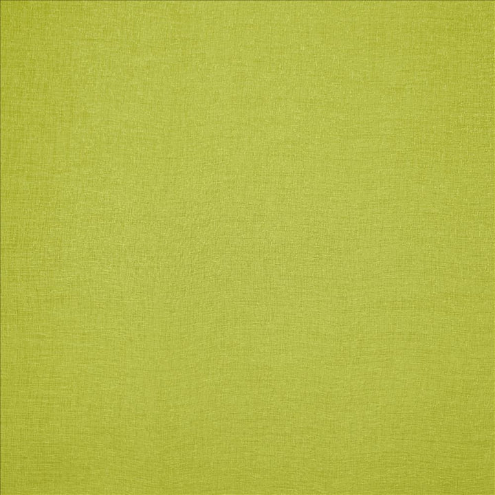 Prisma Anise by Kasmir Fabric 5157 100% Polyester
 CHINA </p><p>Repeat: Horizontal: N/A and Vertical: N/A 110 - Fabric Carolina -
