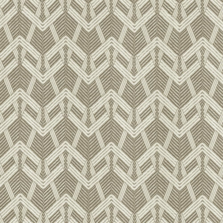 Projection Carbon by Kasmir Fabric 5133 100% Polyester
 USA </p><p>Repeat: Horizontal: 3 5/8 inches and Vertical: 4 inches 55 - Fabric Carolina -