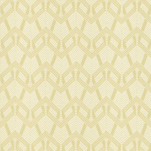 Projection Ecru by Kasmir Fabric