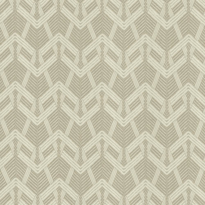 Projection Silver by Kasmir Fabric 5133 100% Polyester
 USA </p><p>Repeat: Horizontal: 3 5/8 inches and Vertical: 4 inches 55 - Fabric Carolina -
